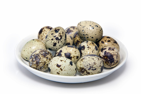 quail eggs isolated on white groundの写真素材