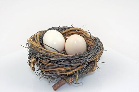 Two eggs in birds nest, isolated on white.の写真素材
