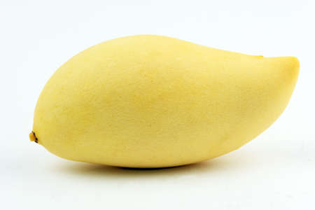 Yellow mango on the white background の写真素材
