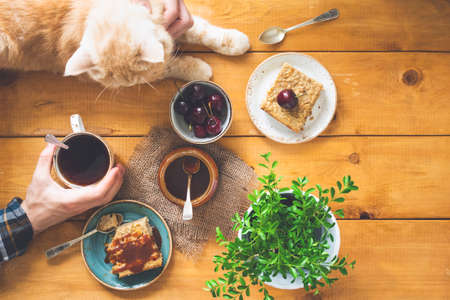 Cozy family breakfast on a rustic table, top viewの写真素材