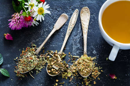 Dry herbal tea in tea spoons assortment and cup of green teaの写真素材