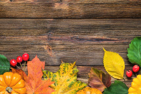 Fallen leaves and small pumpkins on wooden background. Copy space for text. Perfect use for...