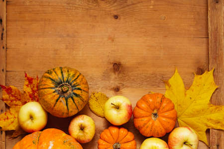 Thanksgiving background: variety of pumpkins, apples and fallen leaves on wooden table with copy space for text. Horizontal.の写真素材