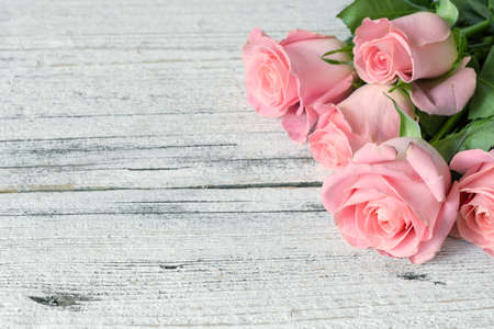 Vintage background / postcard / greeting card. Pink roses on white textured wooden background. Copy space, top viewの写真素材