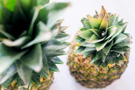 Pineapples or ananas on white background closeup view selective focus