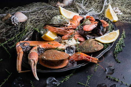Seafood chilled on a plate with ice and lemon wedges on dark background. Closeup view selective...