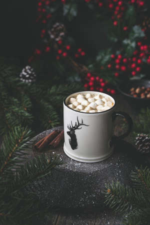 Cup of hot chocolate with marshmallows and cinnamon. Toned. Christmas drinkの写真素材