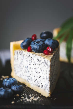 Slice of cake with poppy and blueberries. Closeup view, selective focus. Toned imageの写真素材