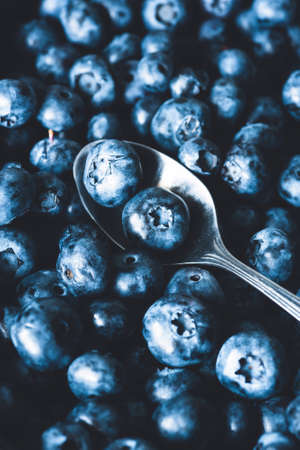 Fresh blueberries closeup view, selective focus, toned image. Freshly picked blueberryの写真素材