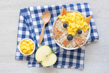 Funny Breakfast For Kids. Oatmeal Porridge With Cute Fruit Face. Porridge with fruits and berries for healthy breakfastの写真素材
