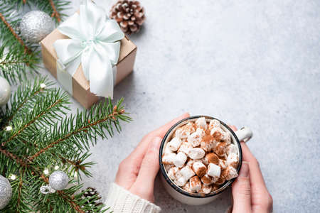 Hot chocolate with marshmallows, gift box, pine tree.の写真素材