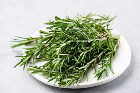 Fresh rosemary herbs closeup view. Isolated on white background