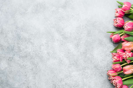 Pink Peony Tulips Floral Background With Copy Space For Text. Mothers Day, Womens Day, Spring or Floral Design conceptの写真素材