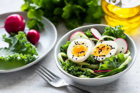 Salad with cucumber, radish, boiled egg and kale in bowl dressed with olive oil.の写真素材