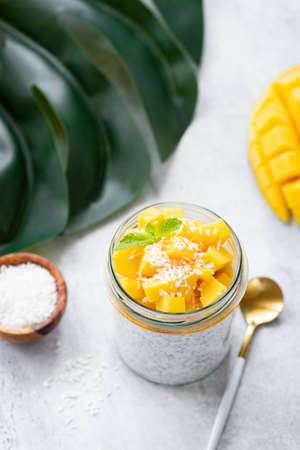 Yogurt Mango Chia Seed Pudding With Coconut Flakesの写真素材