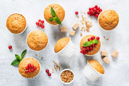 Vegan homemade muffins decorated with red berries and mint leaf on bright grey concreteの写真素材