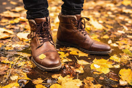 Male feet in leather boots standing in autumn puddle with colorful maple leaves all around. Fall...