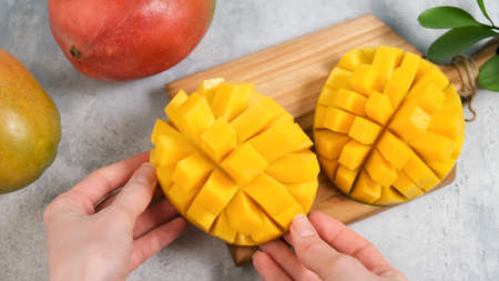 Perfect mango slice cut in cubes. Female hands holding fresh juicy mango. How to cut mango tutorialの写真素材
