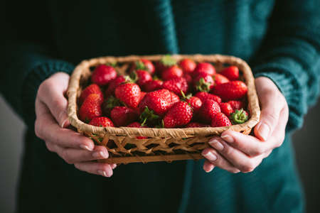 Farmer woman holding organic strawberries in basket. Home grown organic strawberries, summer berry harvestの写真素材