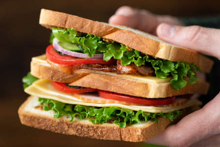 Club sandwich with bacon, cheese, ham, lettuce and purple onion in male handsの写真素材