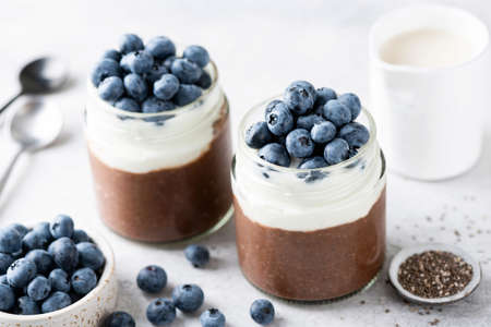 Chocolate chia pudding with yogurt layer and blueberries in a jar, closeup view. Healthy dessert or sweet snackの写真素材