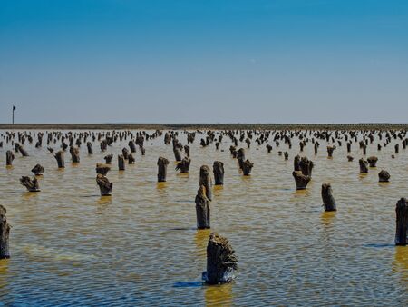 The Lake Baskunchak. Salted remains of bridge supports.