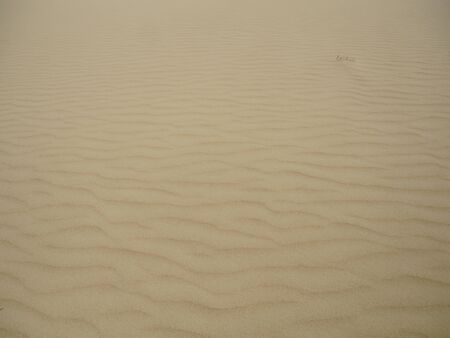 Sand dunes near the village of Seneca in Kazakhstan.の写真素材
