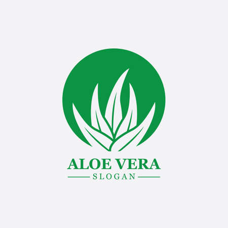Green plant aloe vera logo vector icon symbol many benefitsのイラスト素材