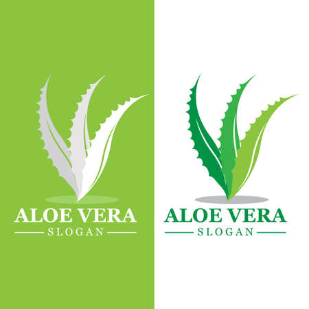 Green plant aloe vera logo vector icon symbol many benefitsのイラスト素材