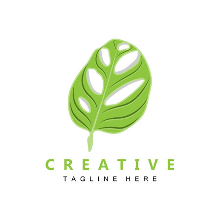 Monstera adansonii Leaf Logo, Green Plant Vector, Tree Vector, Rare Leaf Illustrationのイラスト素材