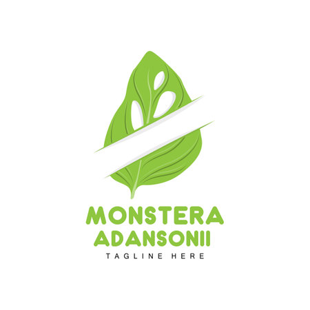 Monstera adansonii Leaf Logo, Green Plant Vector, Tree Vector, Rare Leaf Illustrationのイラスト素材