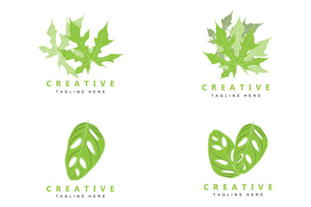Monstera adansonii Leaf Logo, Green Plant Vector, Tree Vector, Rare Leaf Illustrationのイラスト素材