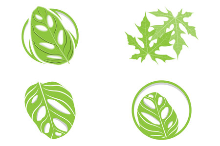 Monstera adansonii Leaf Logo, Green Plant Vector, Tree Vector, Rare Leaf Illustrationのイラスト素材