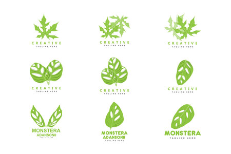 Monstera adansonii Leaf Logo, Green Plant Vector, Tree Vector, Rare Leaf Illustrationのイラスト素材