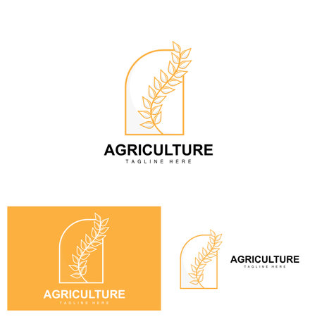 Rice Logo, Agriculture Design, Vector Wheat Rice Icon Template Illustrationのイラスト素材