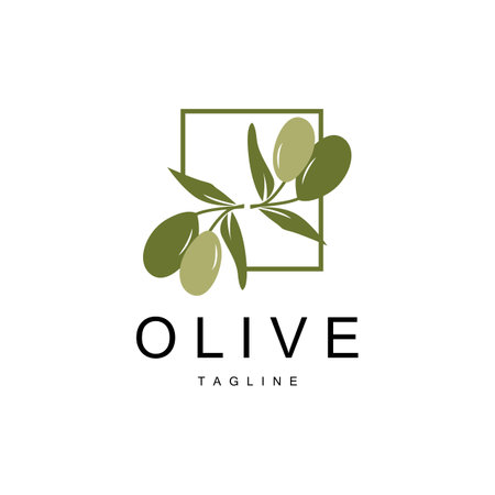 Olive Logo, Olive Oil Plant Vector, Natural Herbal Health Medicine Design, Illustration Template Iconのイラスト素材