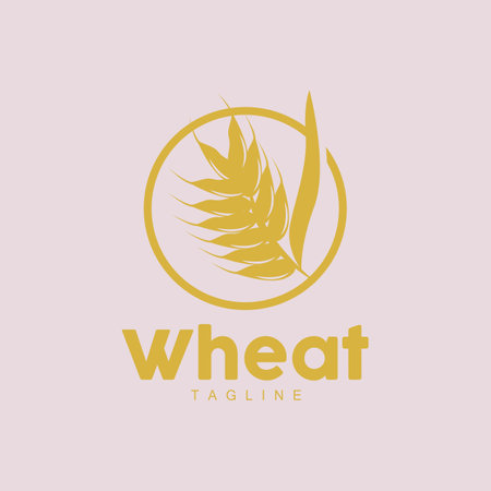 Rice Logo, Farm Wheat Logo Design, Vector Wheat Rice Icon Template Illustrationのイラスト素材