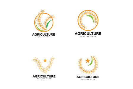 Rice Logo, Farm Wheat Logo Design, Vector Wheat Rice Icon Template Illustrationのイラスト素材