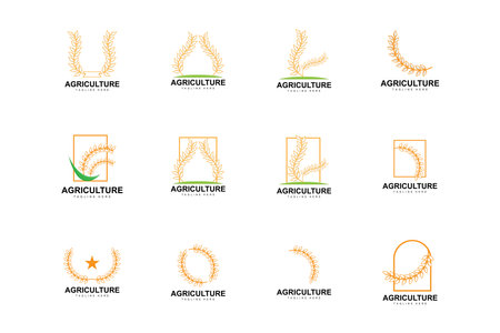Rice Logo, Farm Wheat Logo Design, Vector Wheat Rice Icon Template Illustrationのイラスト素材