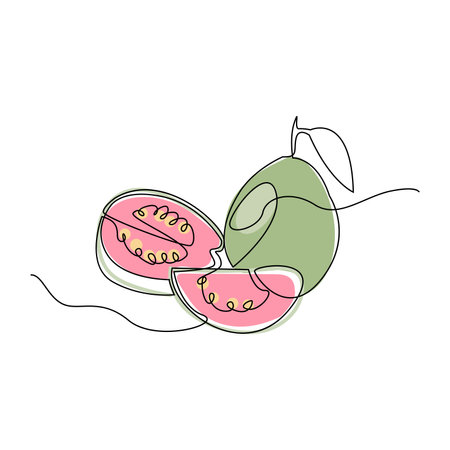 Guava Logo, Vector Garden Farm Guava Juice Fruit, Line Design, Template Illustrationのイラスト素材