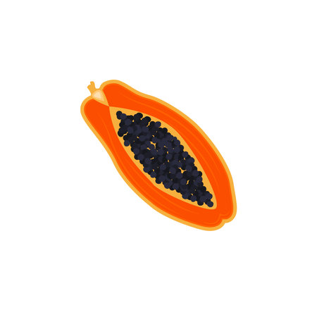 Papaya Logo Design, Vitamin Fruit Vector, Fruit Product Brand Illustration Iconのイラスト素材