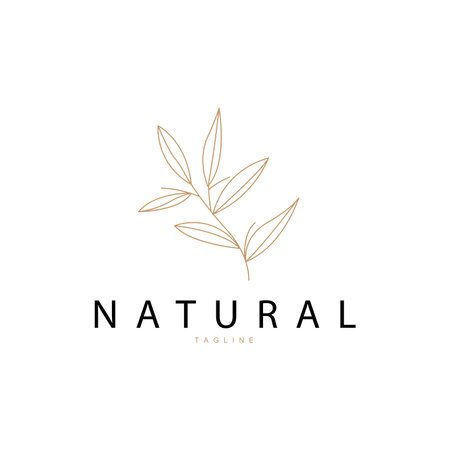 Minimalist Feminine Botanical Flower Beauty Line Plant Logo, Design Vector illustrationのイラスト素材