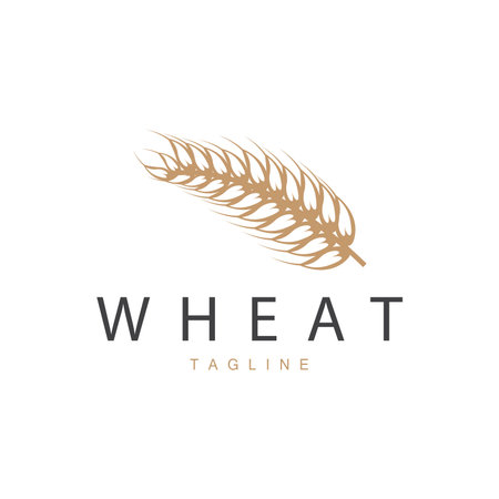 Rice Logo, Farm Wheat Logo Design, Vector Wheat Rice Icon Template Illustrationのイラスト素材
