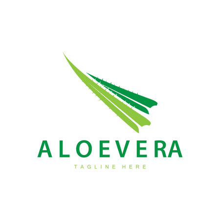 aloe vera logo cosmetic design simple green plant health symbol vector illustrationのイラスト素材