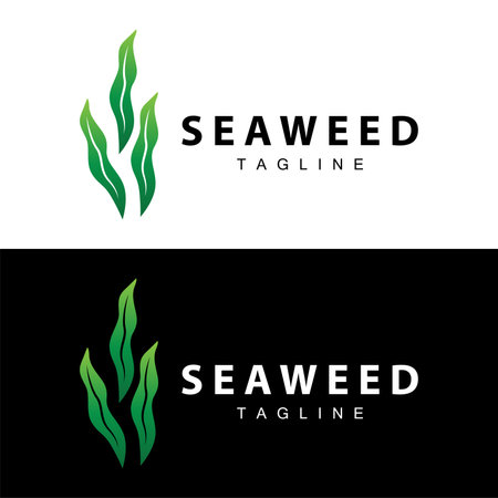 Seaweed Logo Design, Underwater Plant Design Illustrations, Cosmetics and Food Ingredientのイラスト素材