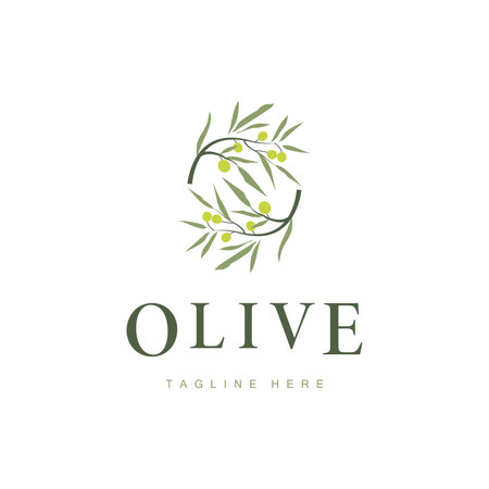 simple olive logo design olive fruit plant symbol of beauty and spa business brand templateのイラスト素材