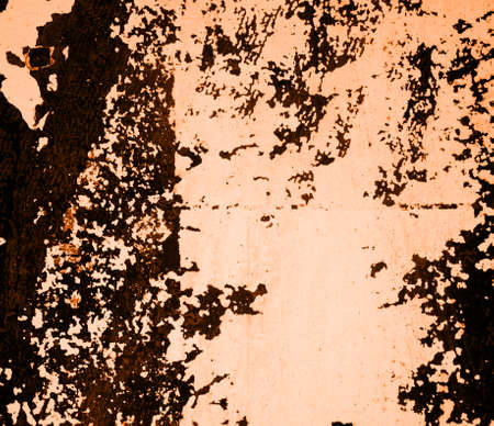 Designed grunge paper texture, backgroundの写真素材