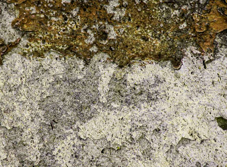 Grunge  wall textureの写真素材