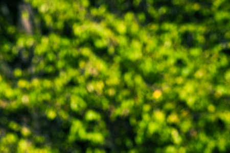 Abstract nature backgroundの写真素材