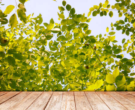 Retro summer background with wooden planks